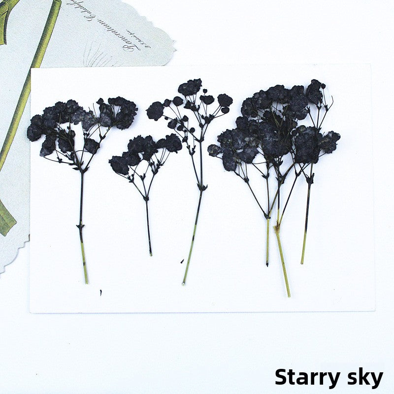 Black Dried Flowers DIY Craft Materials