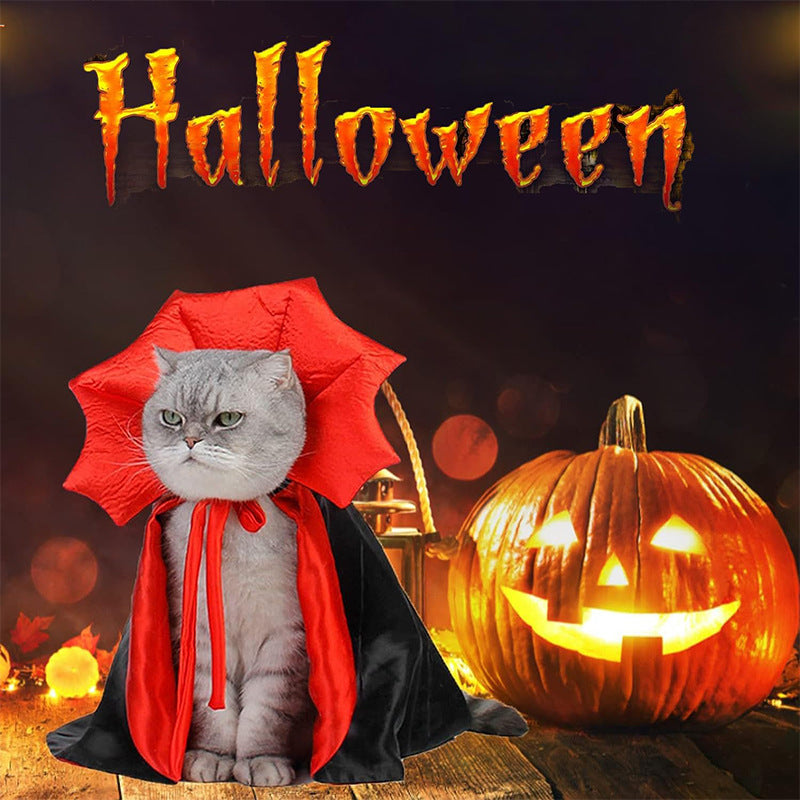 Halloween Pet Witch Cloak Costume