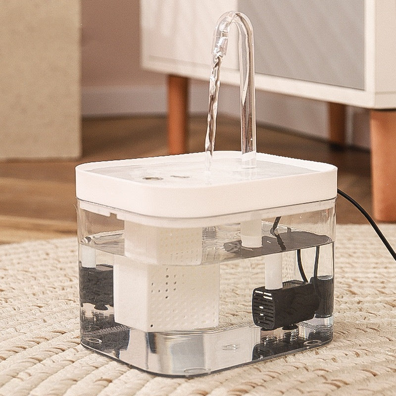 Cat water fountain