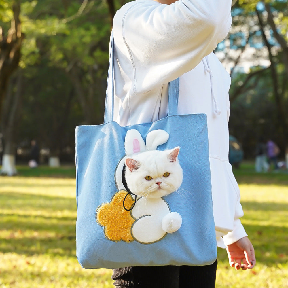 Outing cat carrier