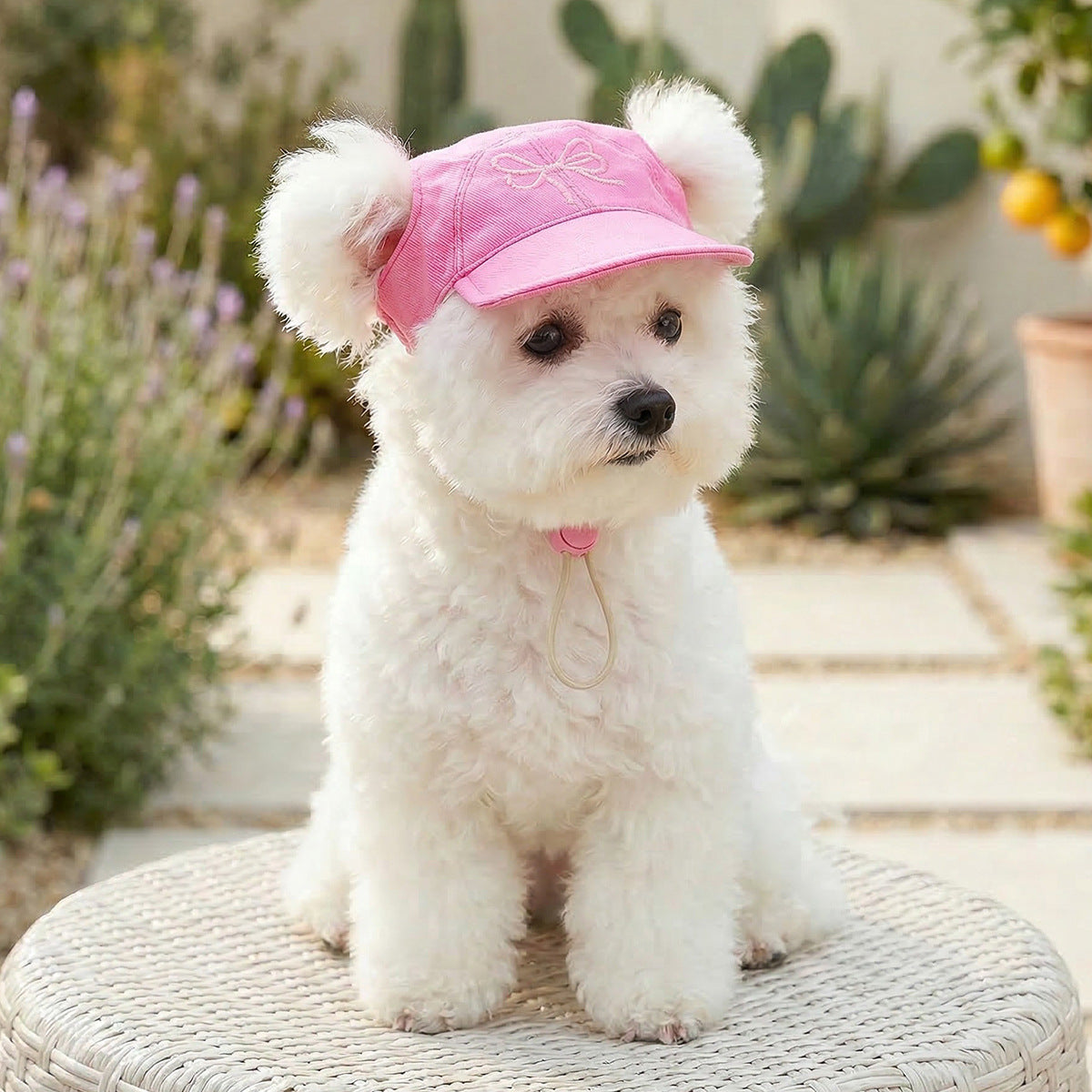Cat and dog sun protection hat