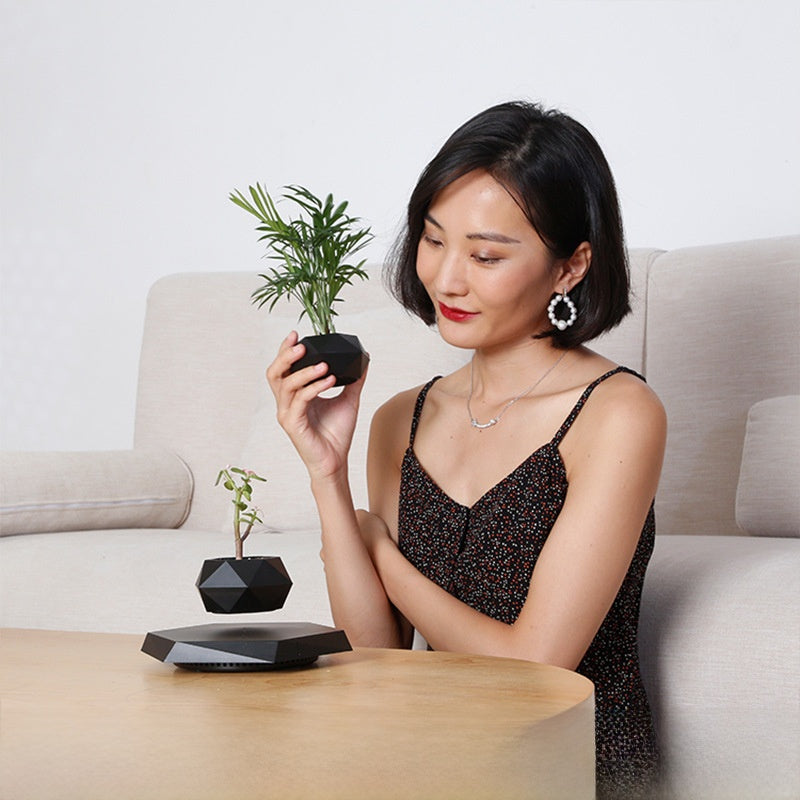 Magnetic Levitation Bonsai with Artificial Plants