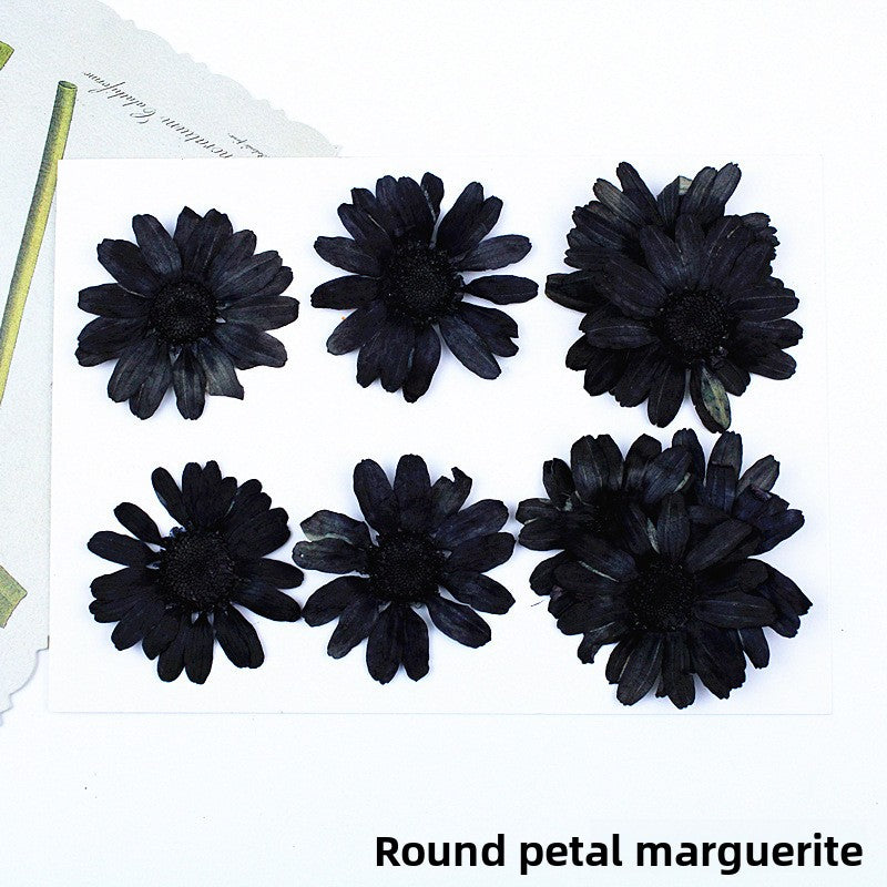 Black Dried Flowers DIY Craft Materials