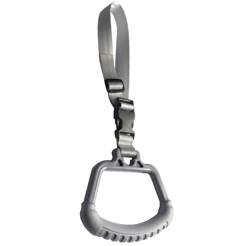 Vehicle Entry Assist Handle