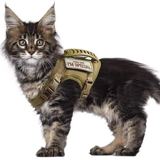Outdoor tactical waterproof adjustable cat harness