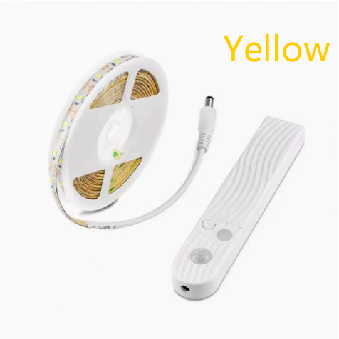 Human Body Sensor LED Strip Light