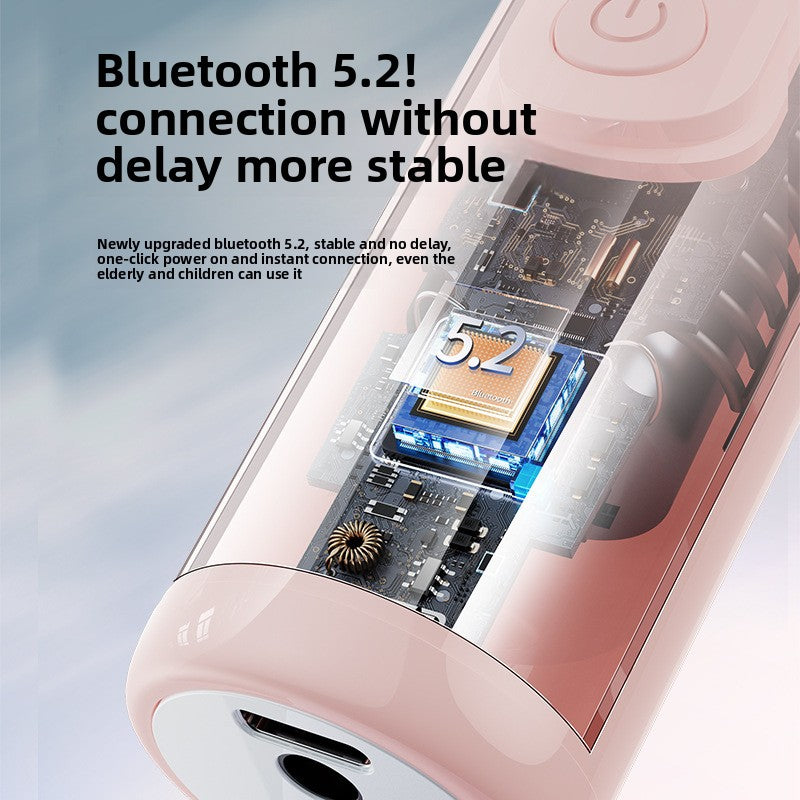 LED Wireless Karaoke Microphone with Speaker