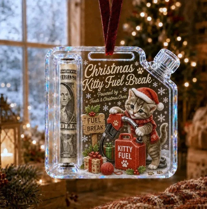 Cash storage hanging organizer