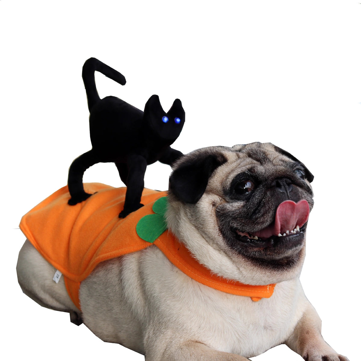Funny and Quirky Dog Clothes