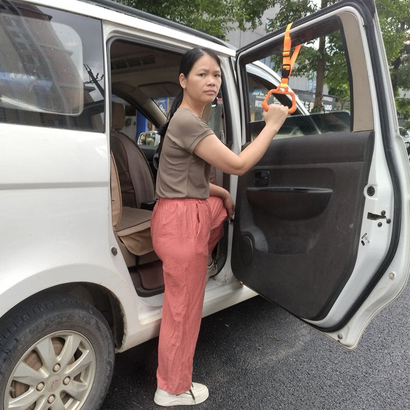 Vehicle Entry Assist Handle