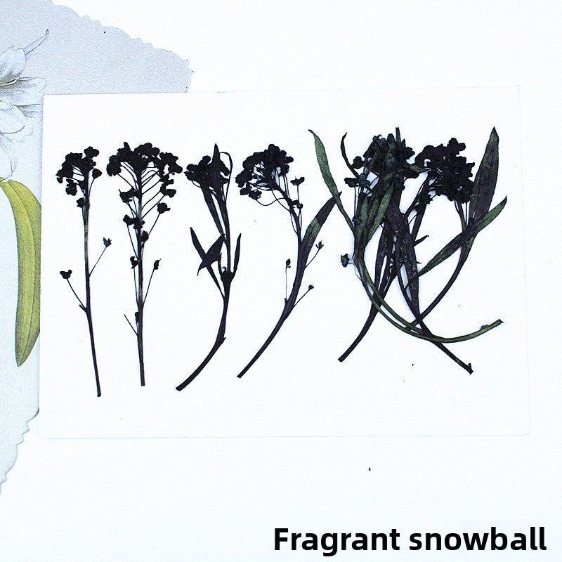 Black Dried Flowers DIY Craft Materials
