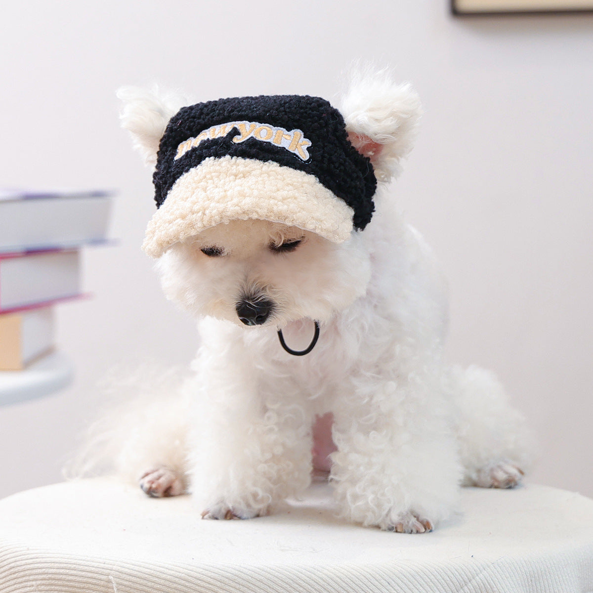 Cat and dog sun protection hat