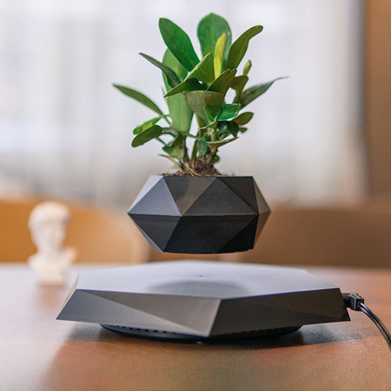 Magnetic Levitation Bonsai with Artificial Plants