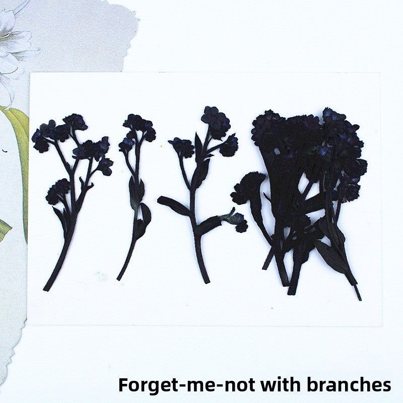 Black Dried Flowers DIY Craft Materials