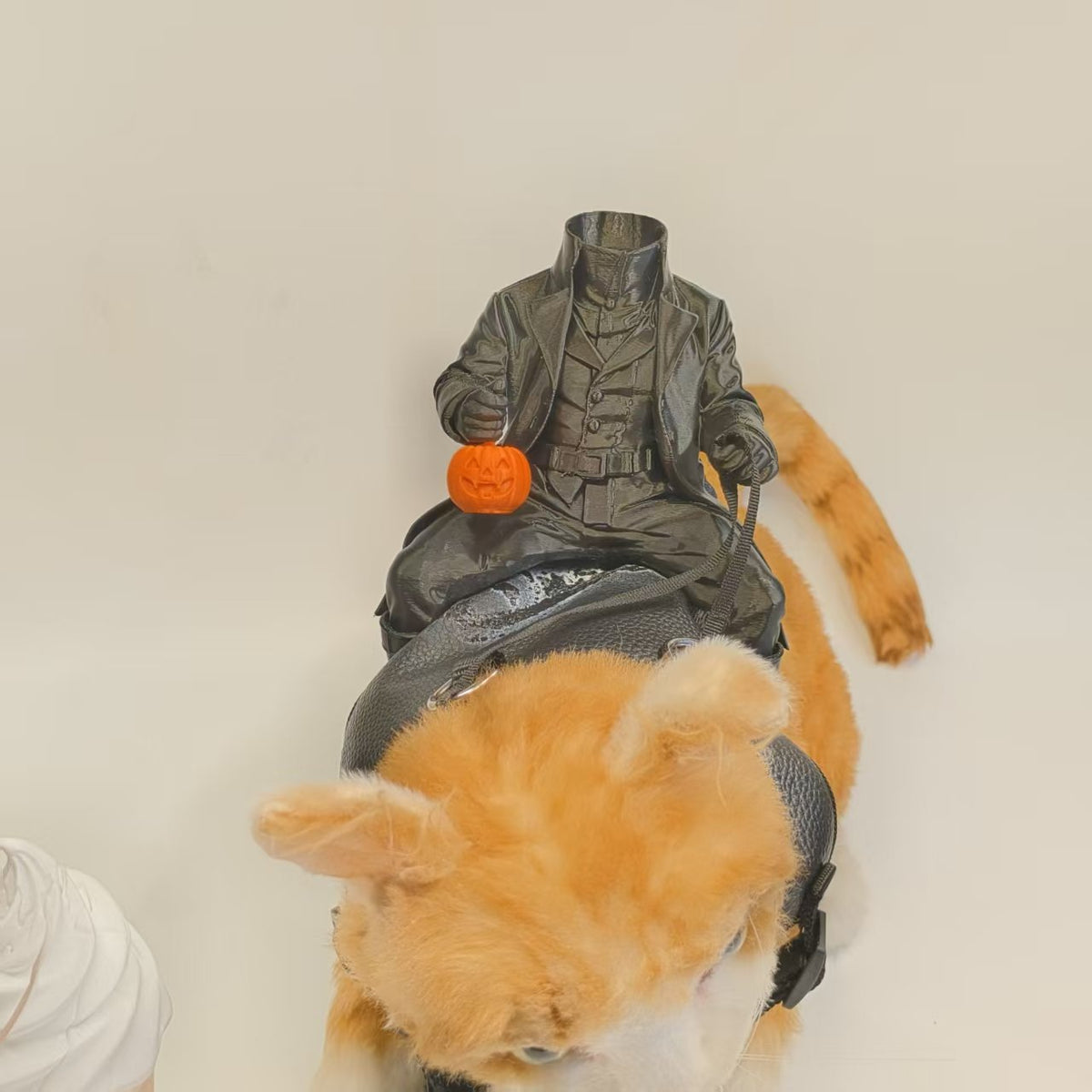 Knight Kitten Puppy Costume