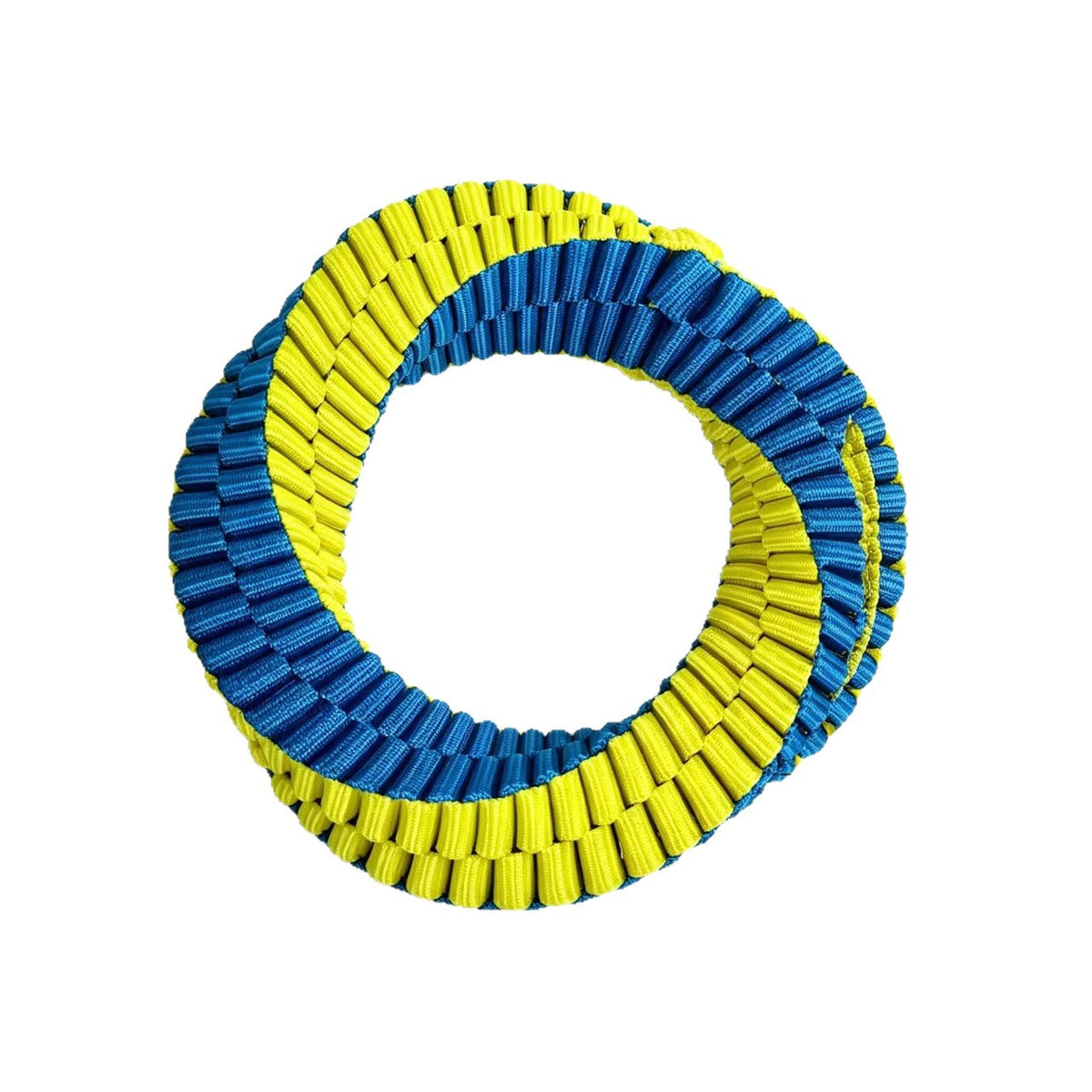 Nylon dog chew interactive toy