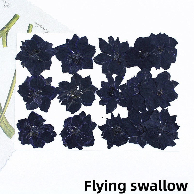 Black Dried Flowers DIY Craft Materials