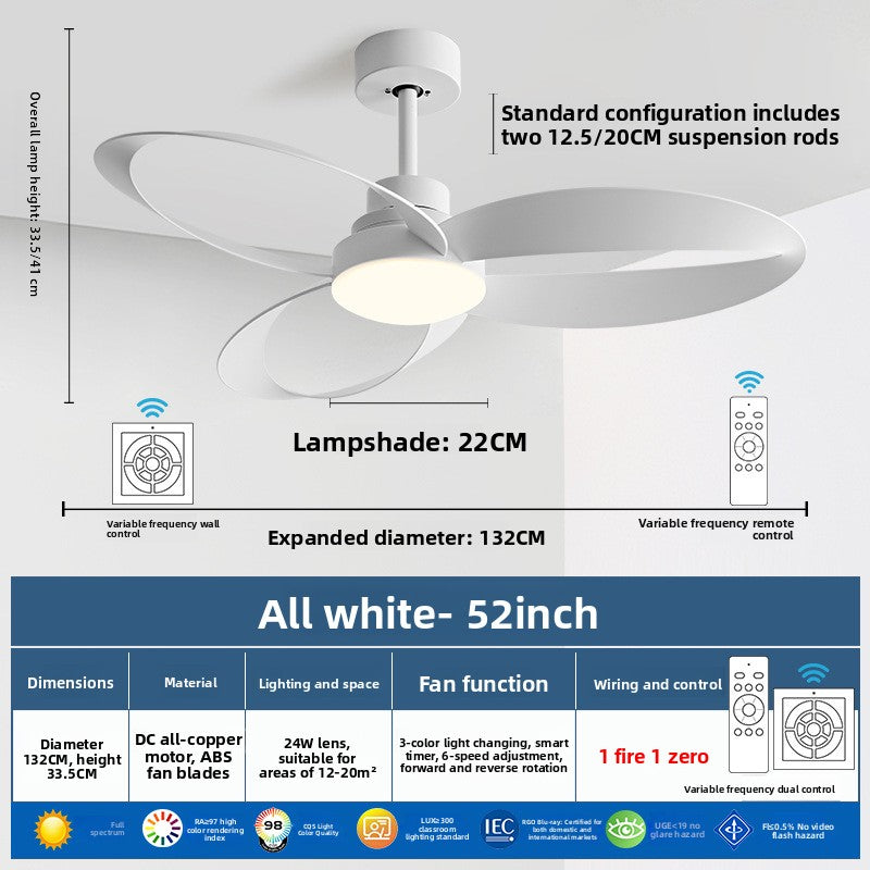 Modern Ceiling Fan with LED Light