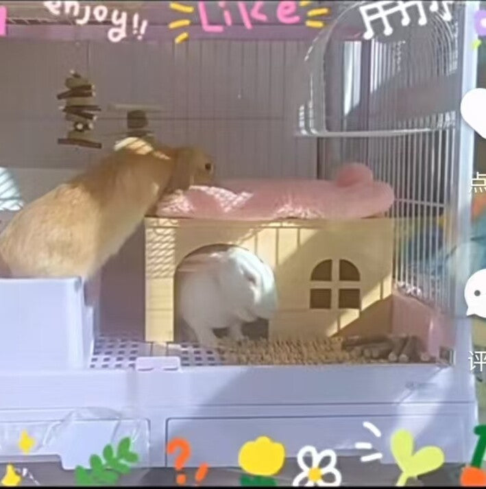 Wooden Rabbit Hideaway House Bed Platform