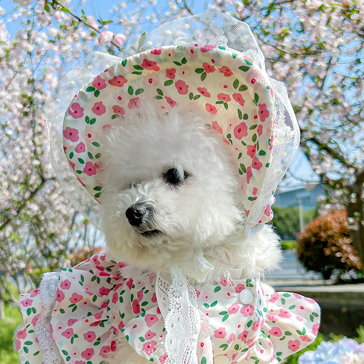 Cat and dog sun protection hat