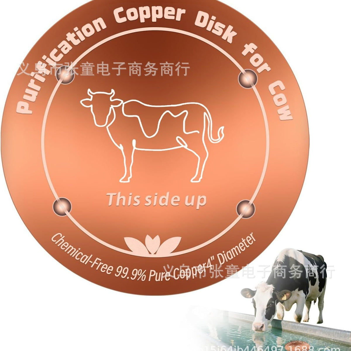 Copper Bird Bath Disc Cleaner