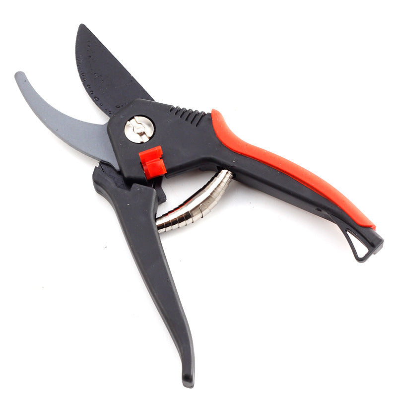 Pruning Shears for Fruit Trees
