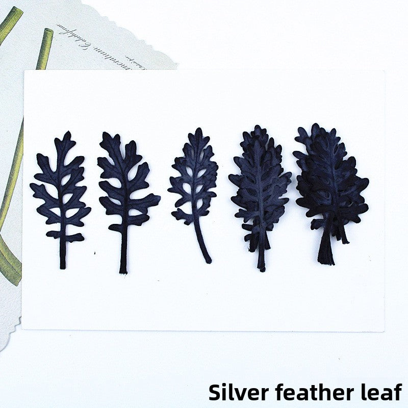 Black Dried Flowers DIY Craft Materials