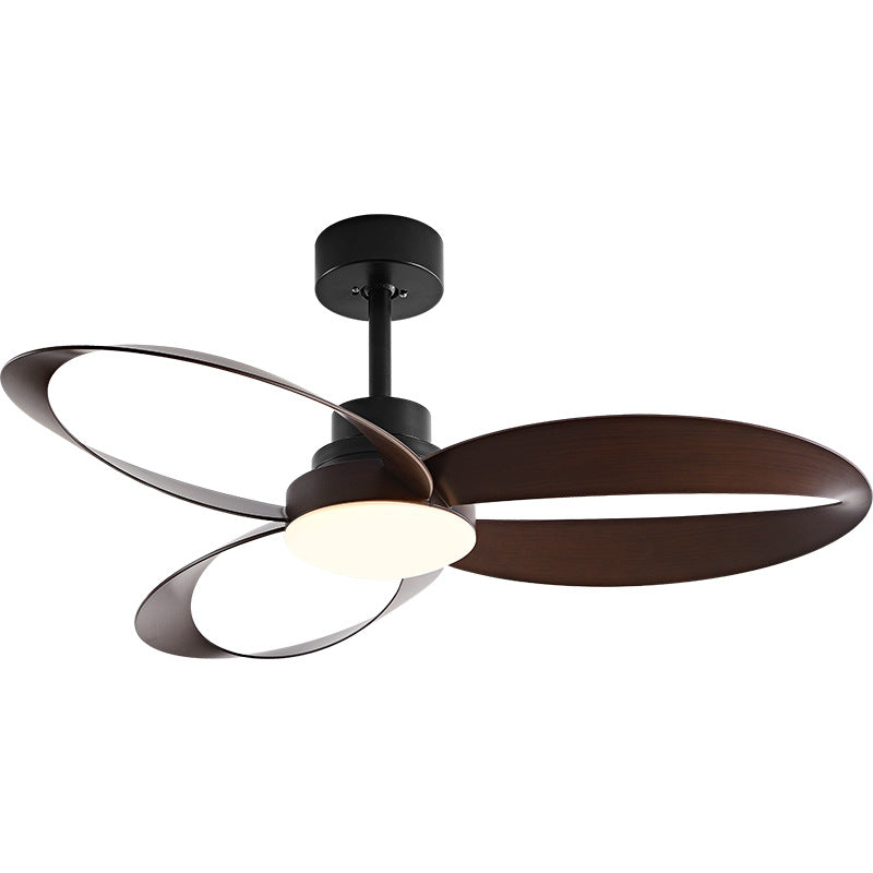 Modern Ceiling Fan with LED Light