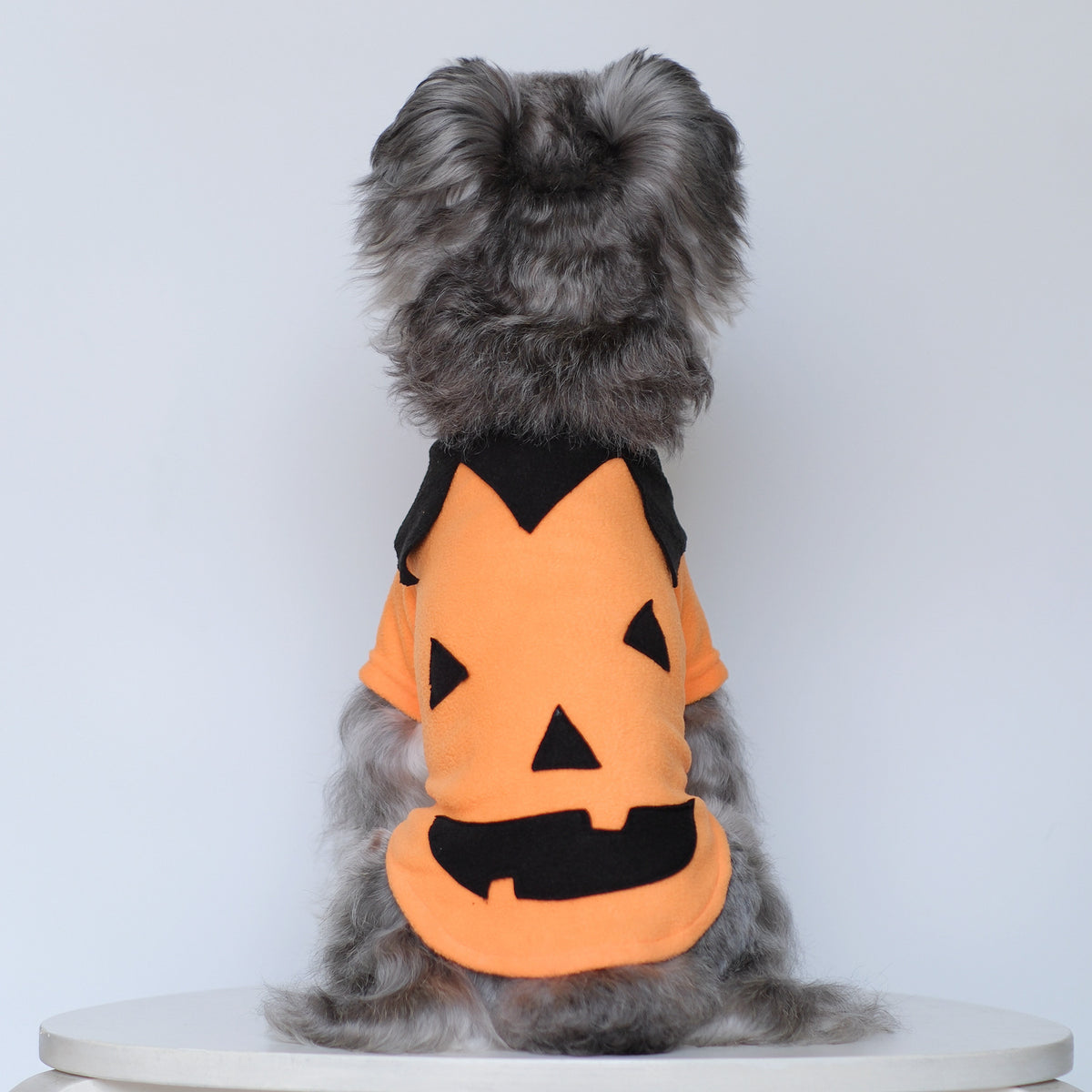 Funny and Quirky Dog Clothes