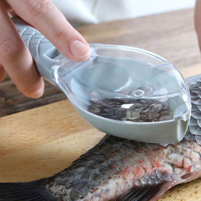 Fish scaler removal tool with lid scraper