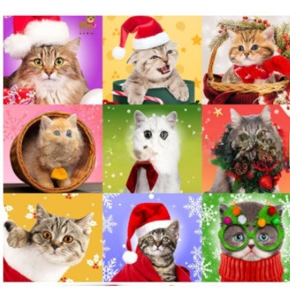 Reusable Dog Advent Calendar for Christmas
