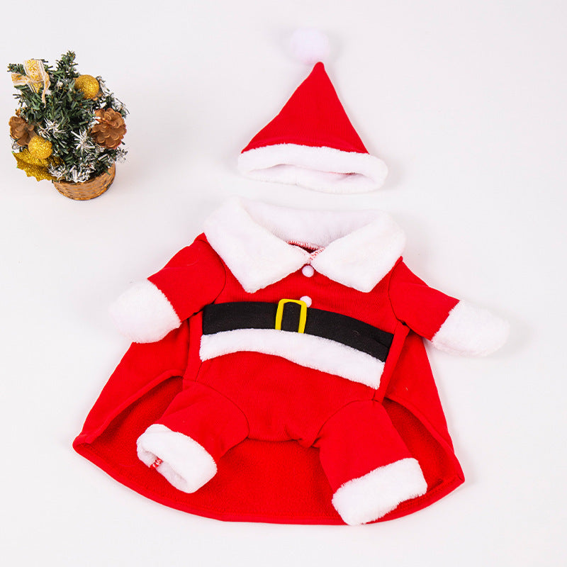 Funny and Quirky Dog Clothes