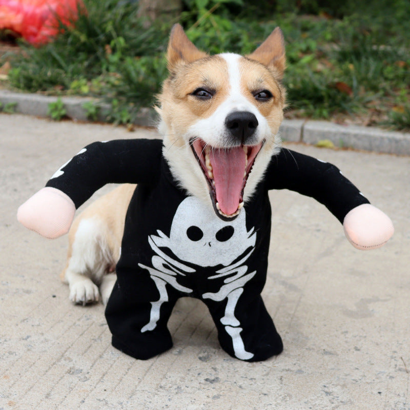 Funny and Quirky Dog Clothes