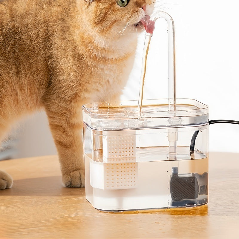 Cat water fountain
