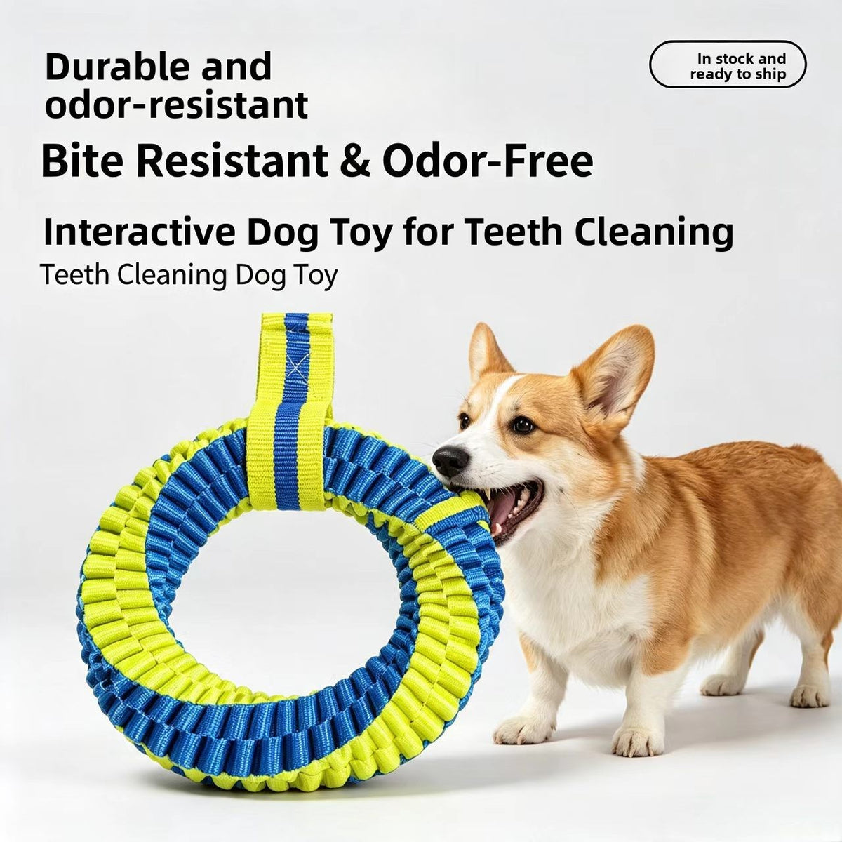 Nylon dog chew interactive toy