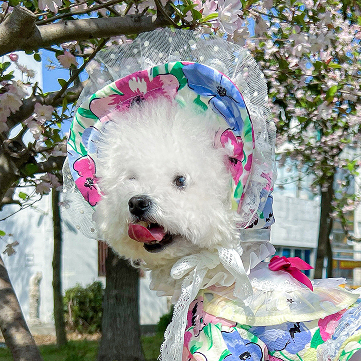 Cat and dog sun protection hat