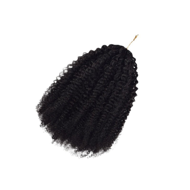 Real Human Hair Crochet Wigs Burmese Curly Extensions