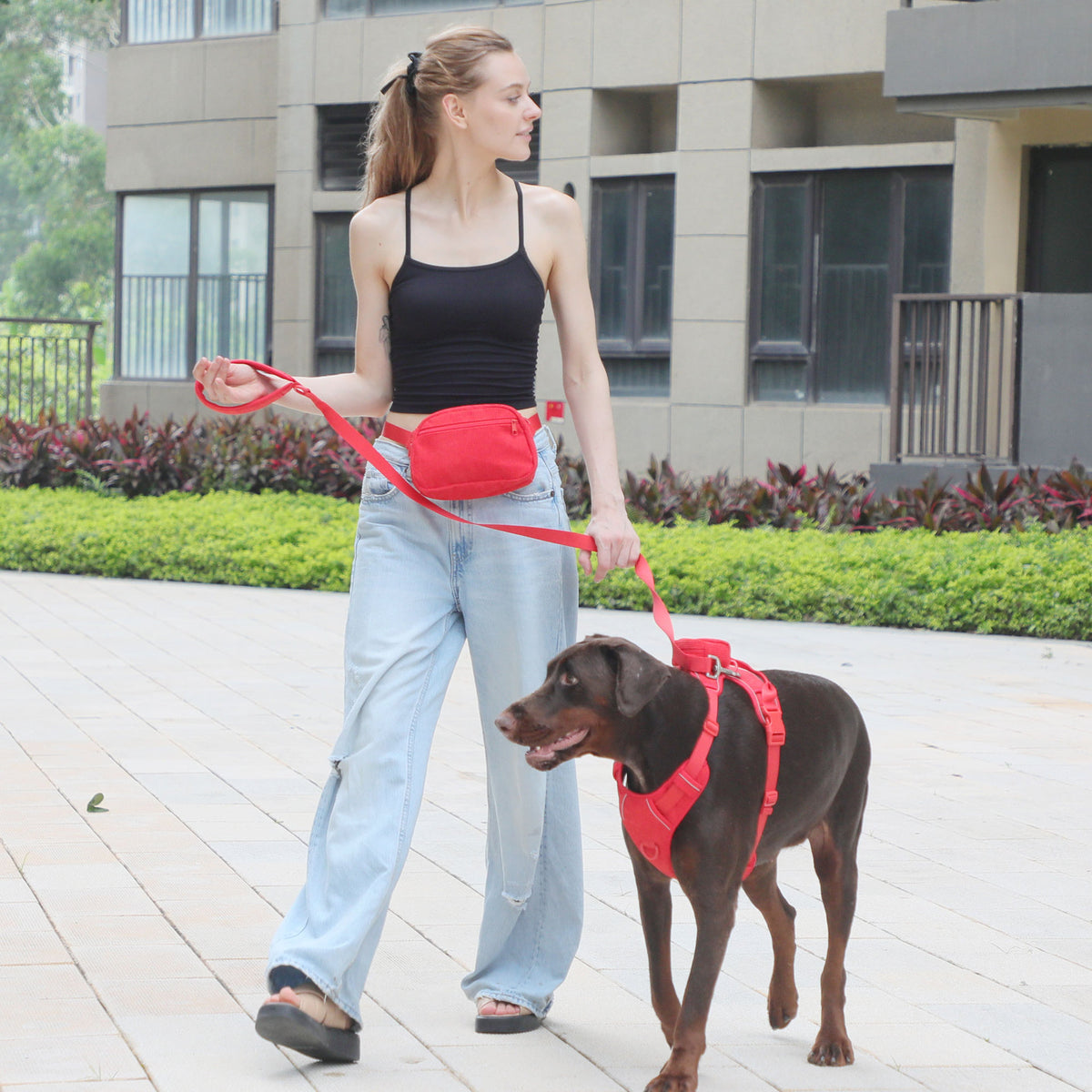 Corduroy Dog Harness Leash Set Collar Walking Bag Adjustable