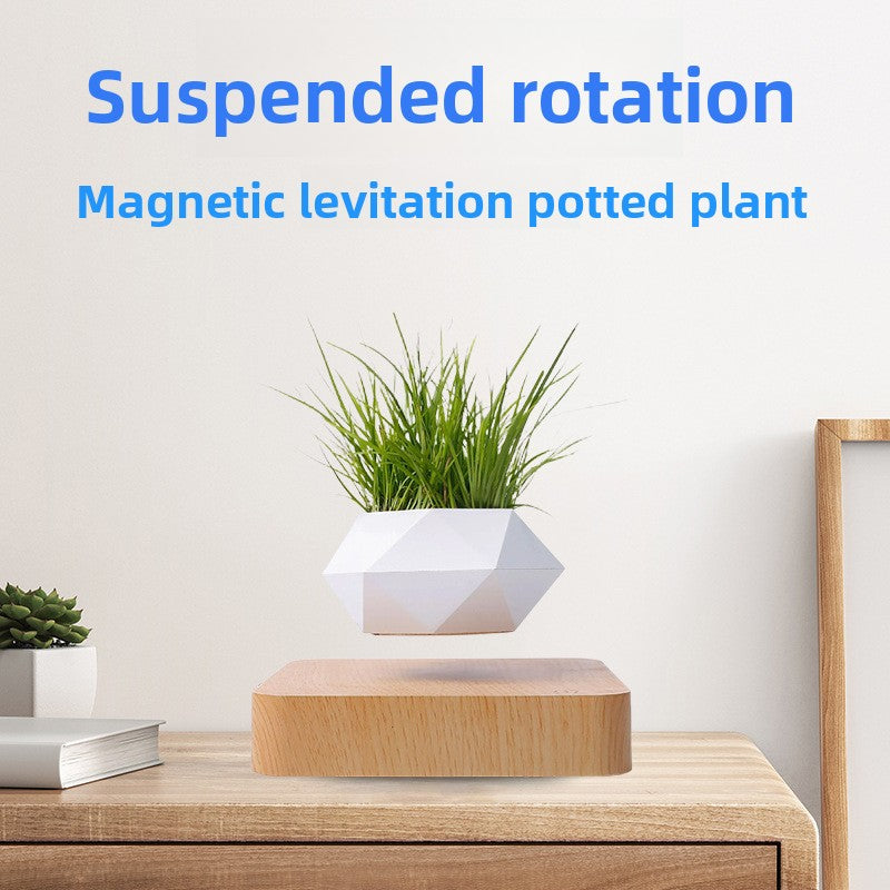 Magnetic Levitation Plant Display Stand