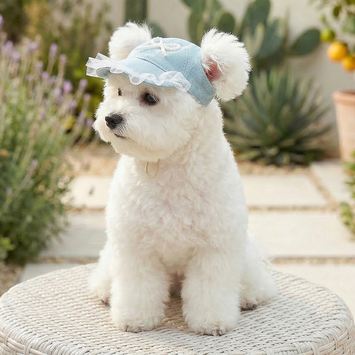 Cat and dog sun protection hat