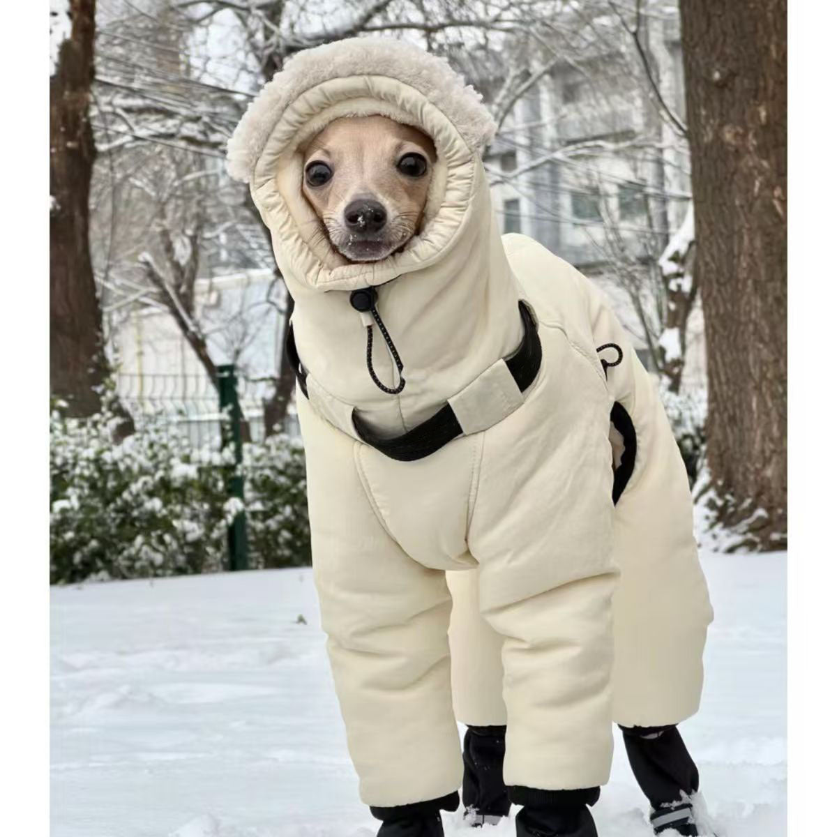 Four-Legged Cotton Coat for Large Dogs