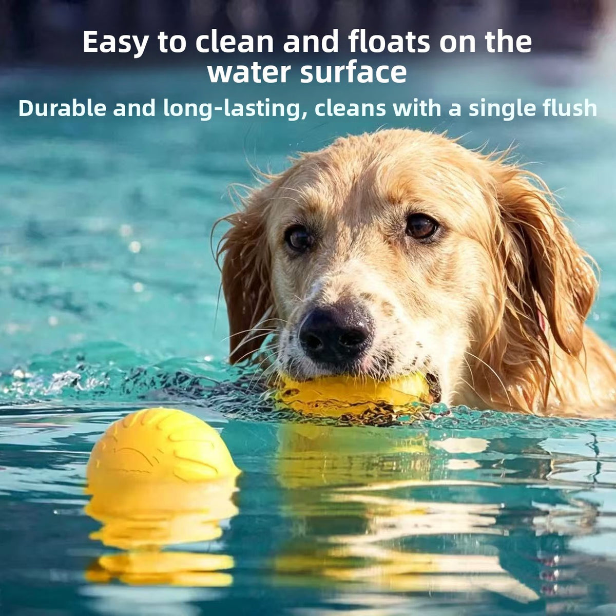 EVA Indestructible Dog Chew Toy Set