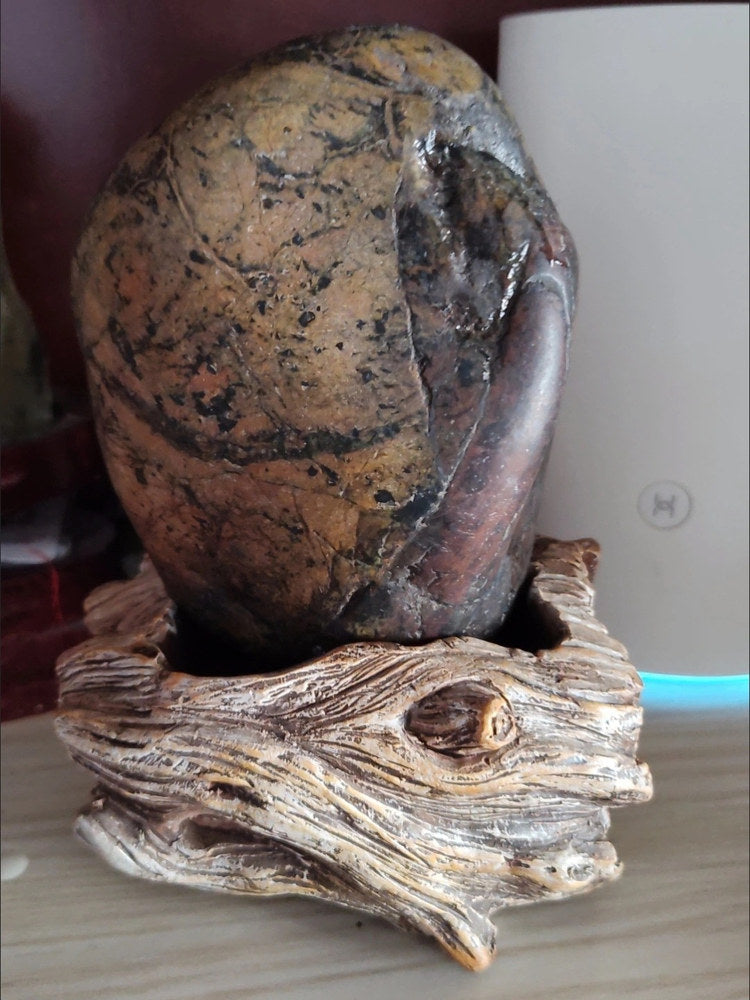 Dried flower bonsai