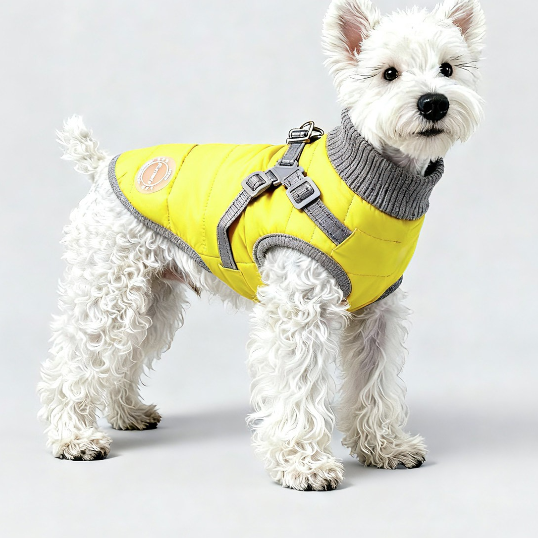 Small and medium-sized dog coats with added insulation for warmth