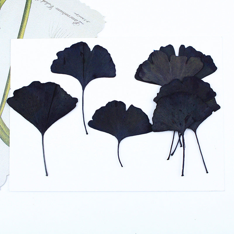 Black Dried Flowers DIY Craft Materials