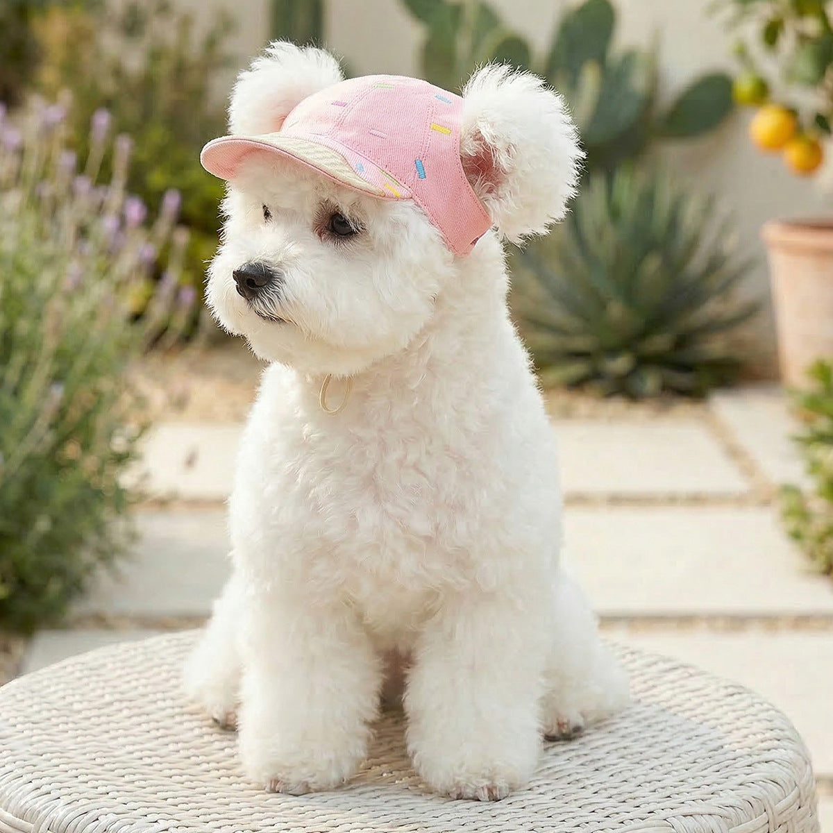 Cat and dog sun protection hat