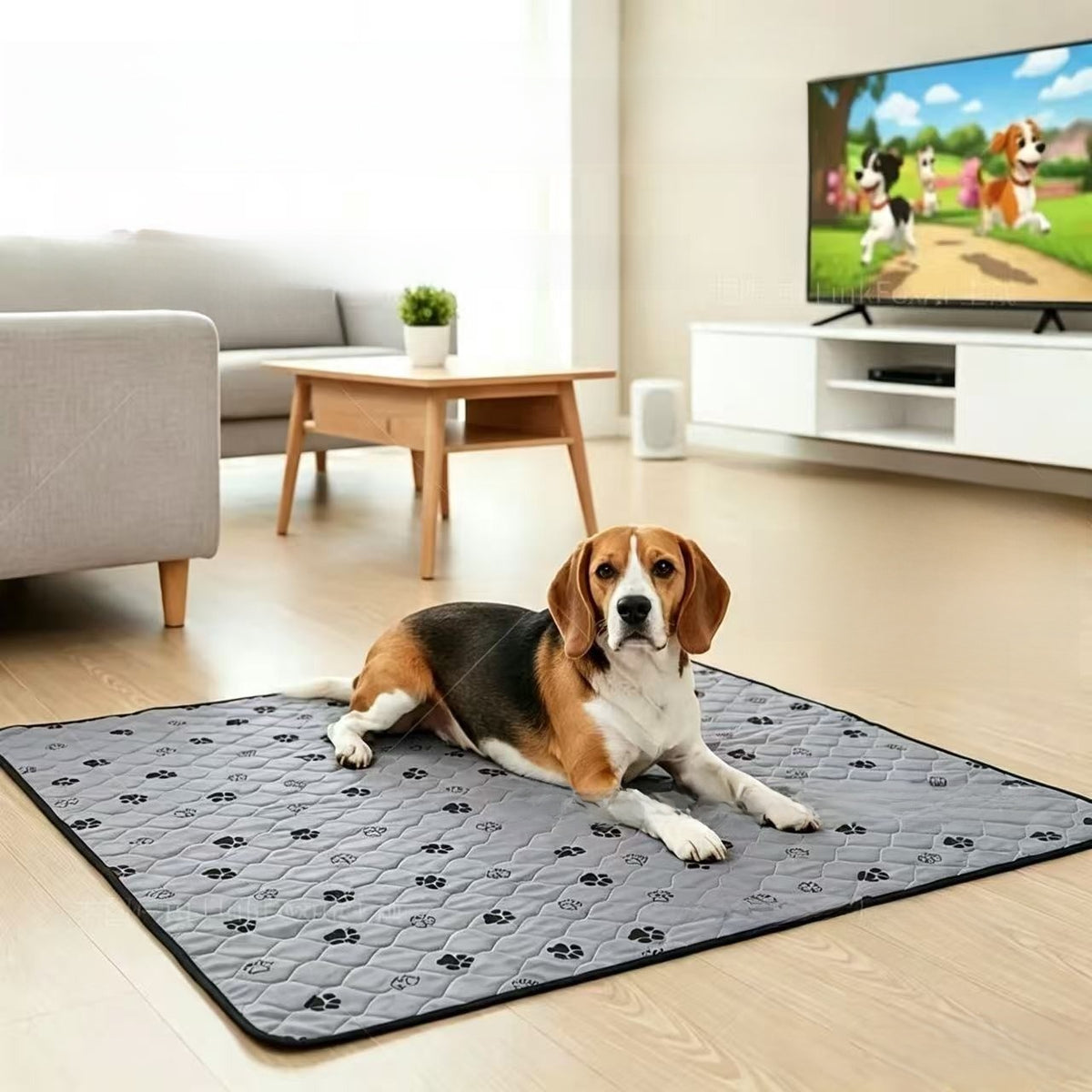 Washable Pet Training Pads with Anti-Slip Bottom