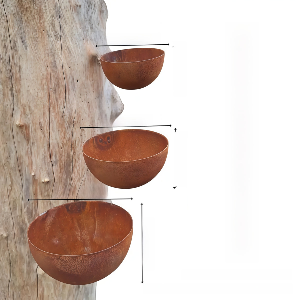 Hanging Garden Bird Feeder and Bath