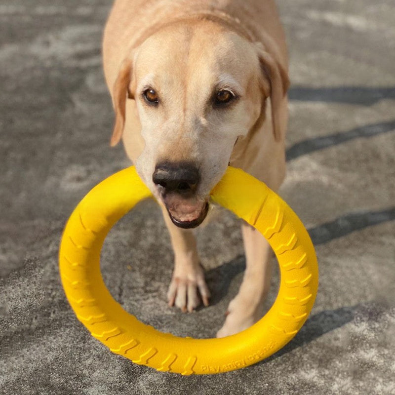 Durable Interactive Dog Chew Toy