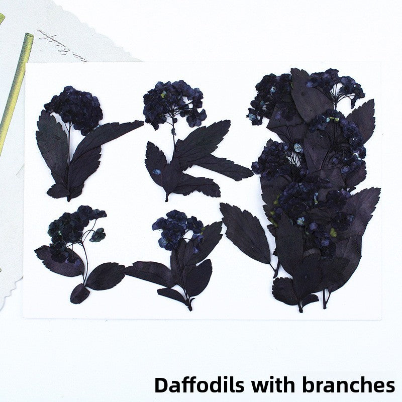 Black Dried Flowers DIY Craft Materials